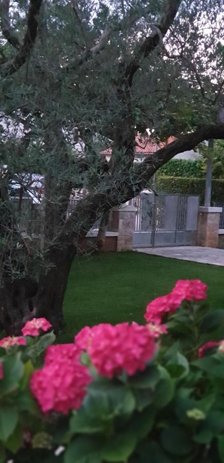 Apartments Cocaletto5 Rovinj Kültér fotó